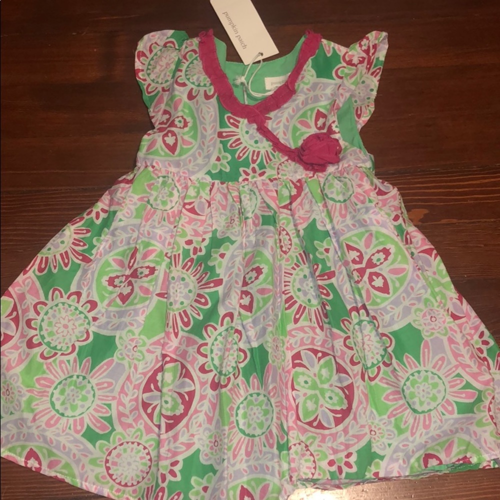 Pumpkin Patch Dress with bottom 12-18 months